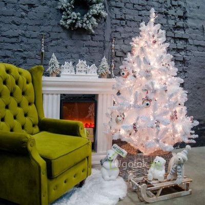 Ель европейская