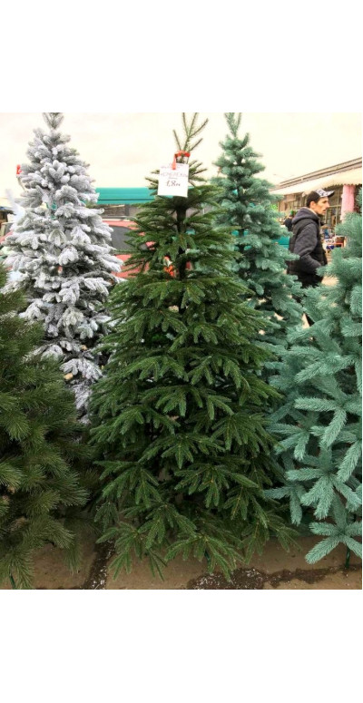 Елка 2,1 м Смерека Карпатская литая