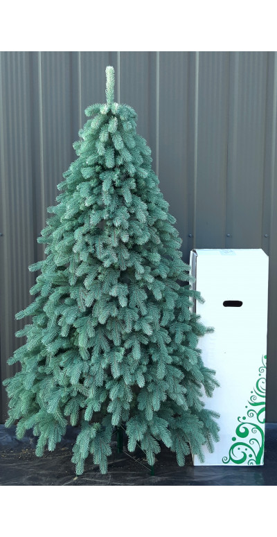 Елка 2,1 м Ковалевская голубая литая