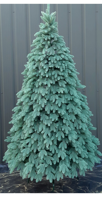 Елка Бельгийская 2,5 м голубая литая 