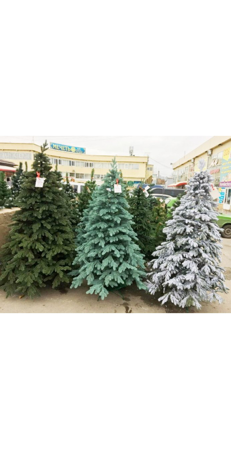 Елка Ковалевская 1,8 м литая Заснеженная