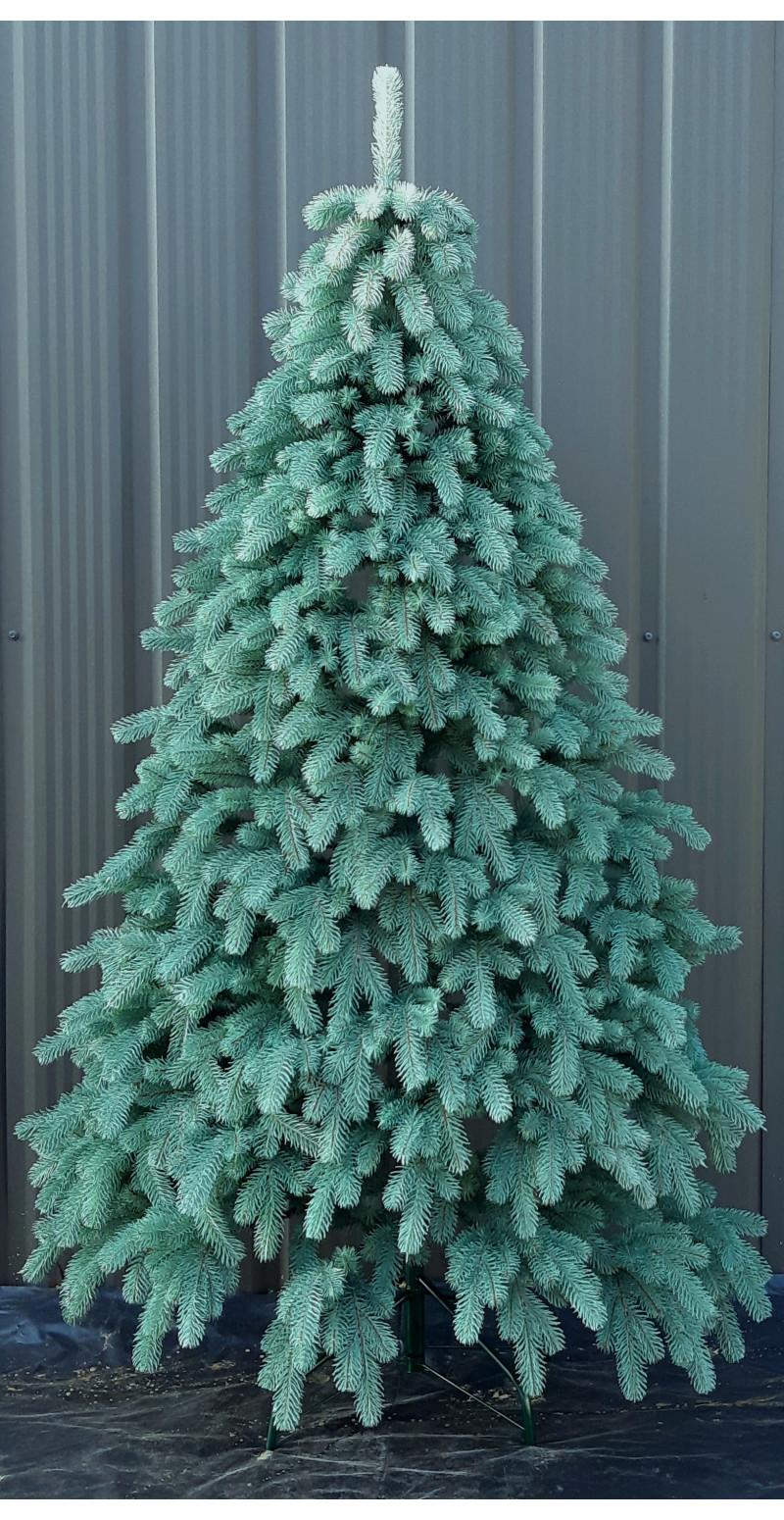 Елка 2,3 м Ковалевская голубая литая