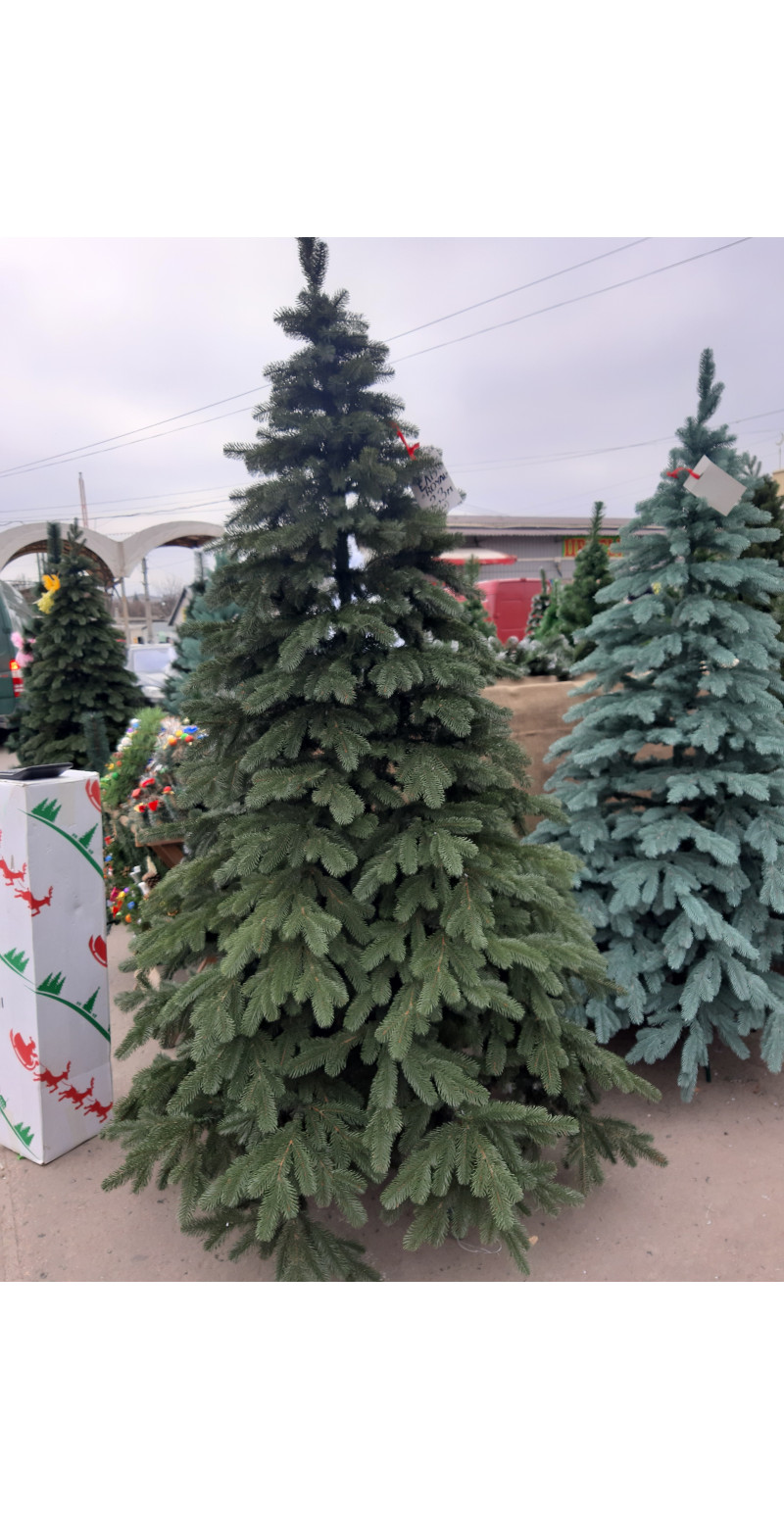 Елка 2,5 м Ковалевская литая зелёная