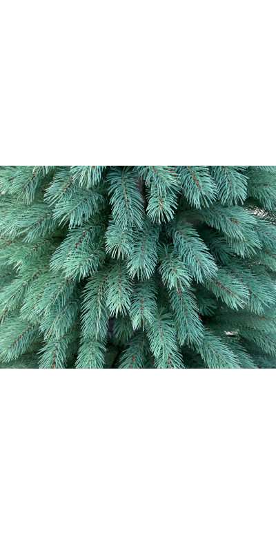 Елка искусственная 2,1 м Закарпатская голубая литая