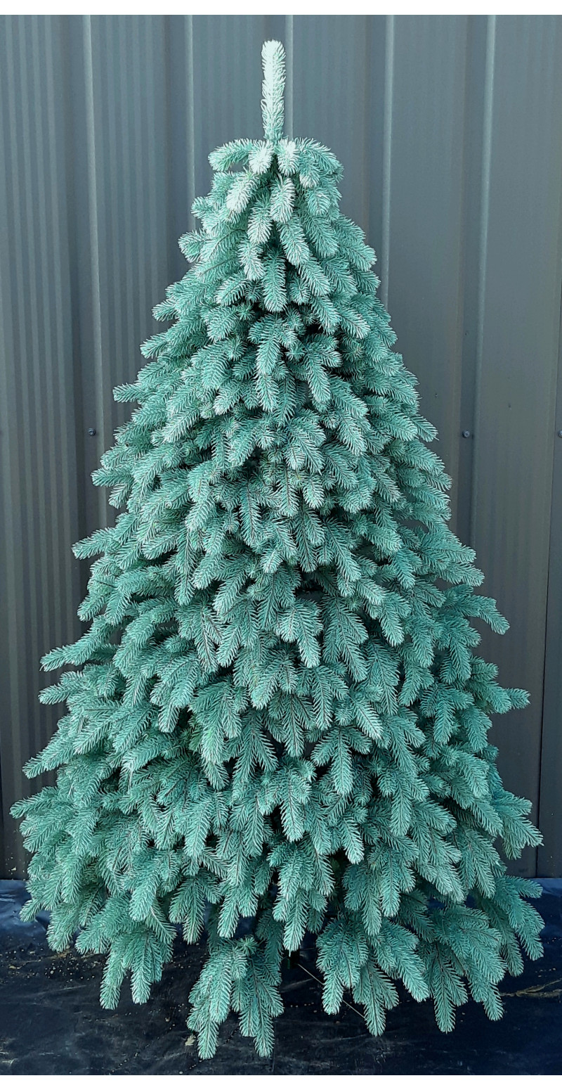 Елка 1,8 м Ковалевская голубая литая