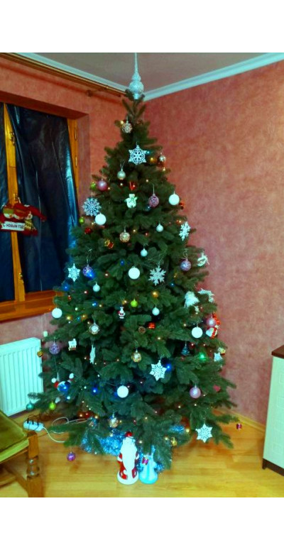 Елка Ковалевская 2,1 м литая зелёная