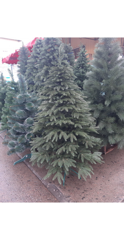 Елка 1,5 м Смерека Карпатская литая