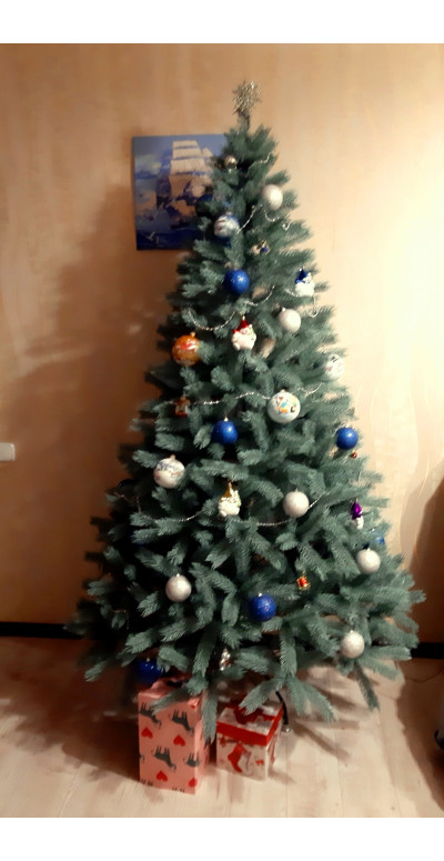 Елка 2,1 м Буковельская голубая литая